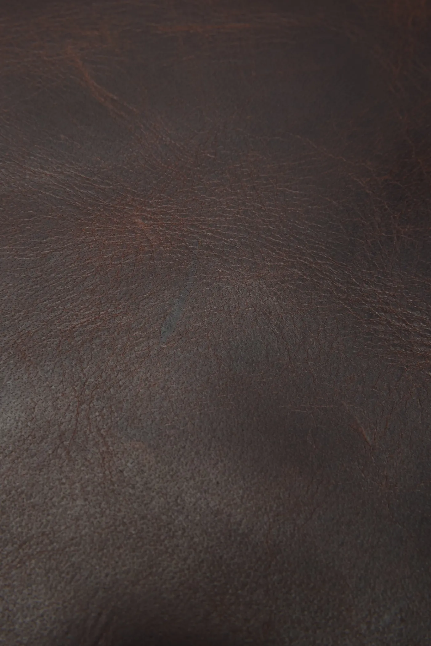 Frye Logan Backpack