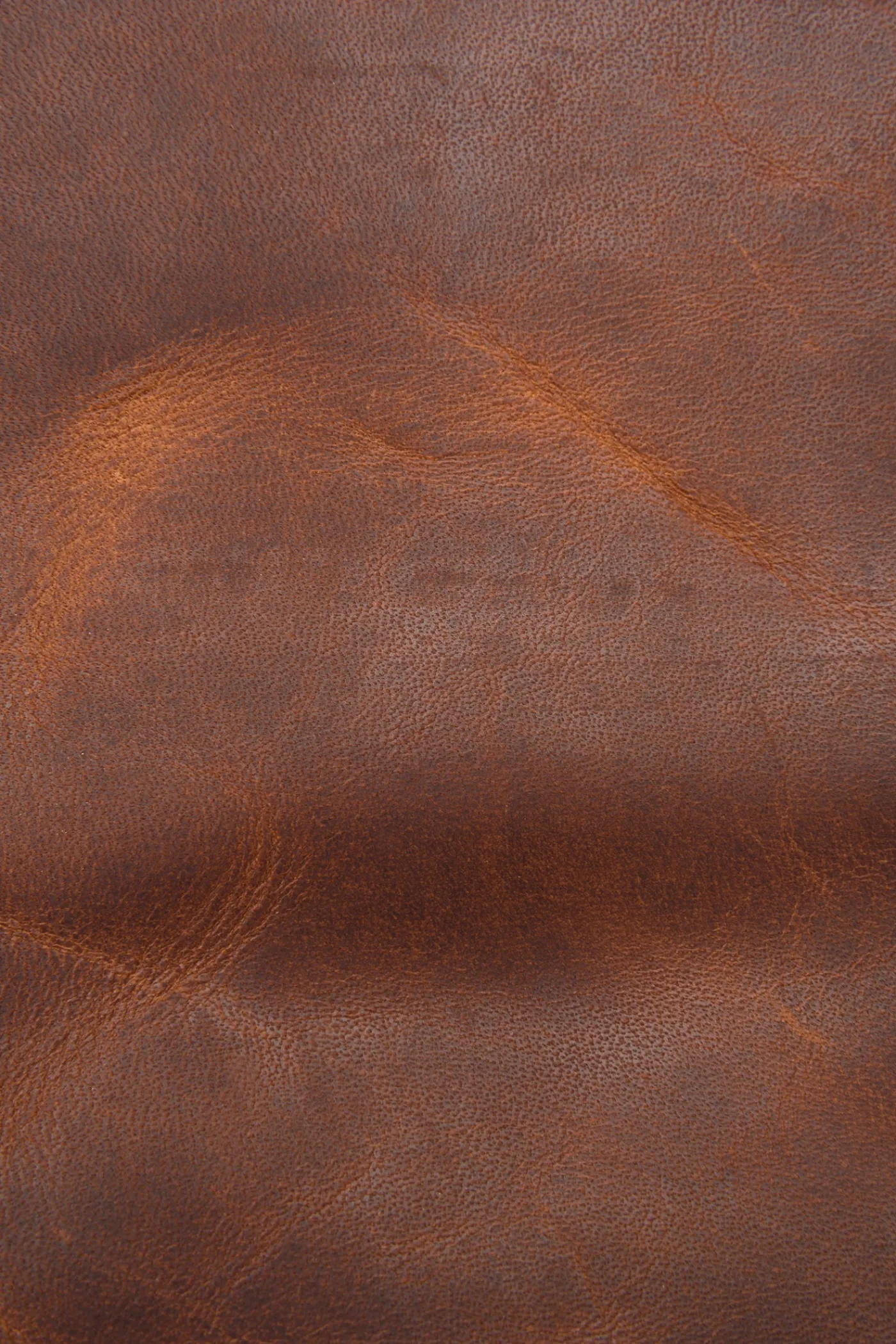 Outlet Frye Logan Messenger Cognac