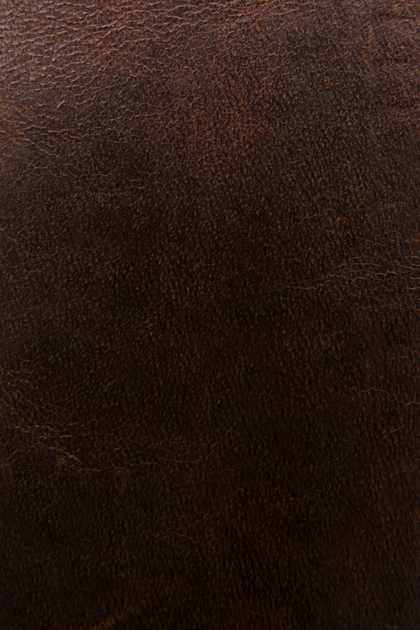 New Frye Logan Money Clip Card Case