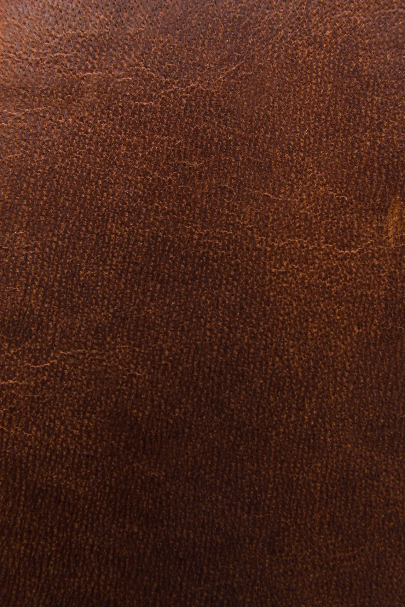 New Frye Logan Money Clip Card Case