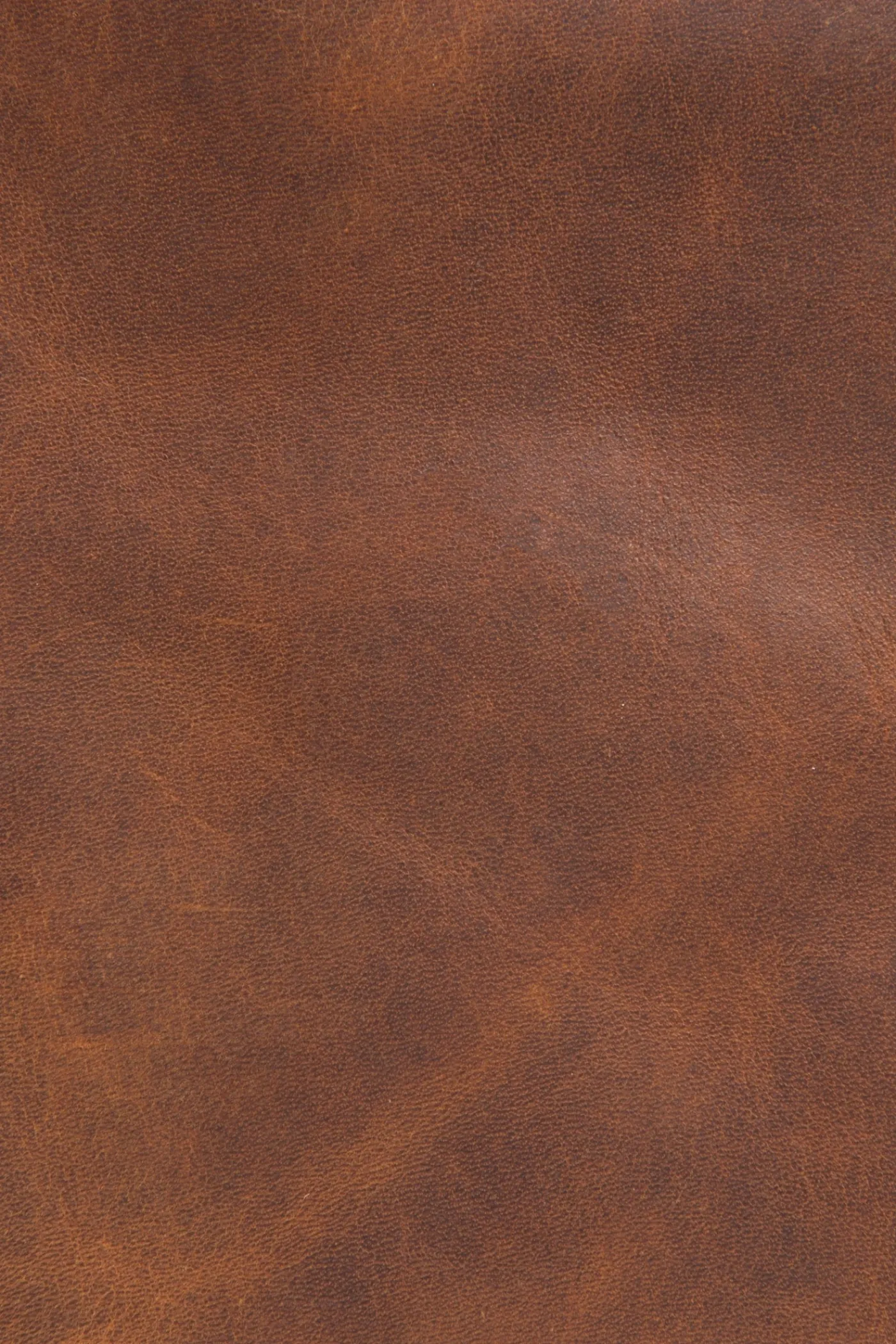 Best Frye Logan Multi Zip Backpack