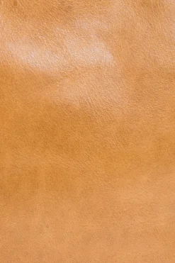 Frye Melissa Swing Pack