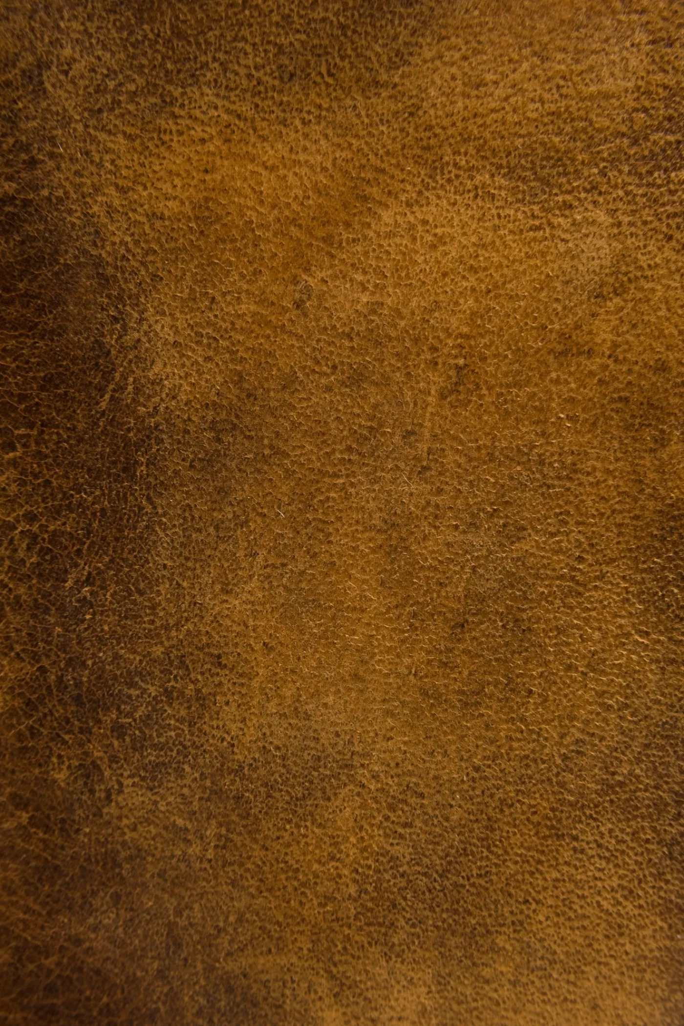 Best Frye Melissa Wristlet