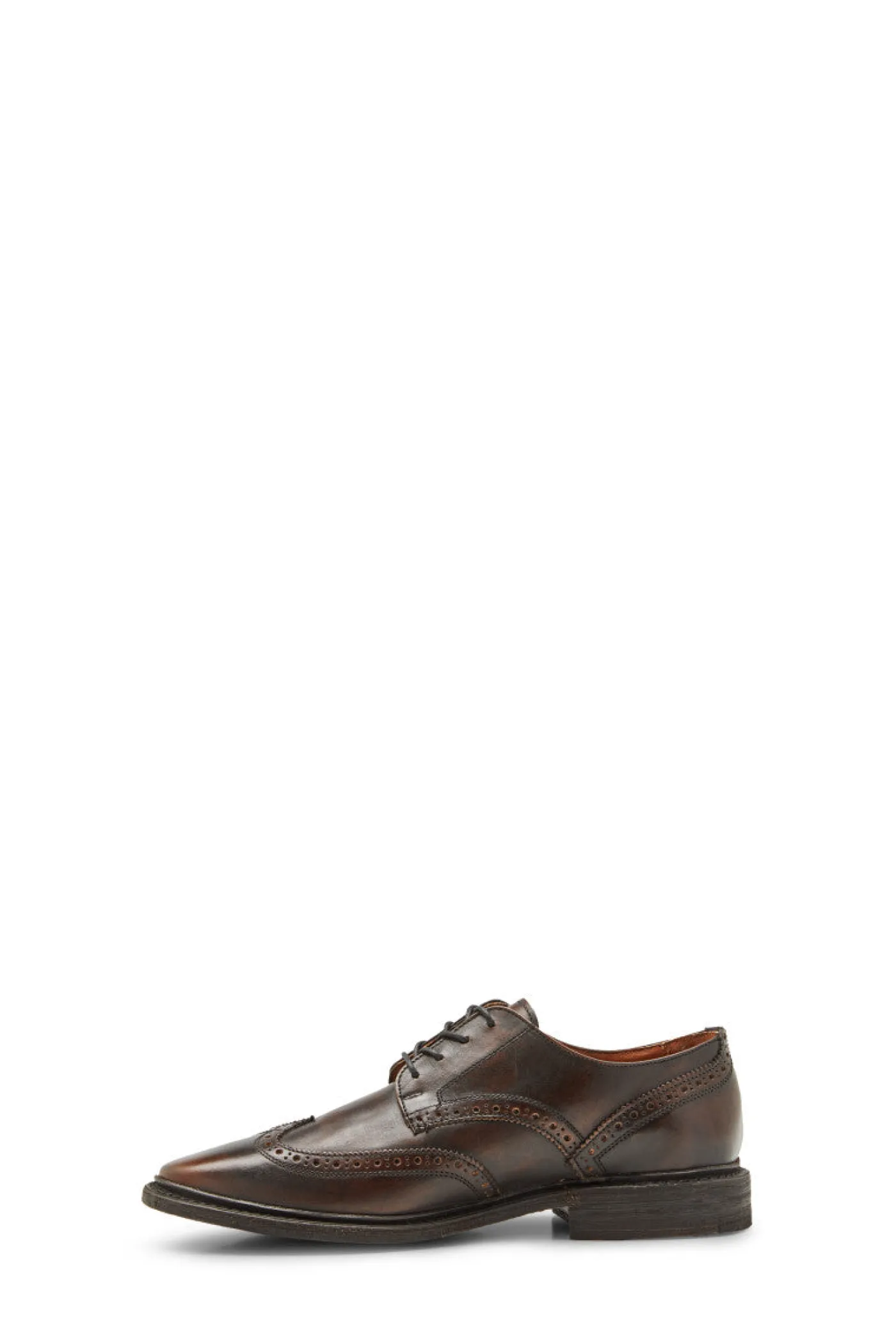 Online Frye Paul Wingtip